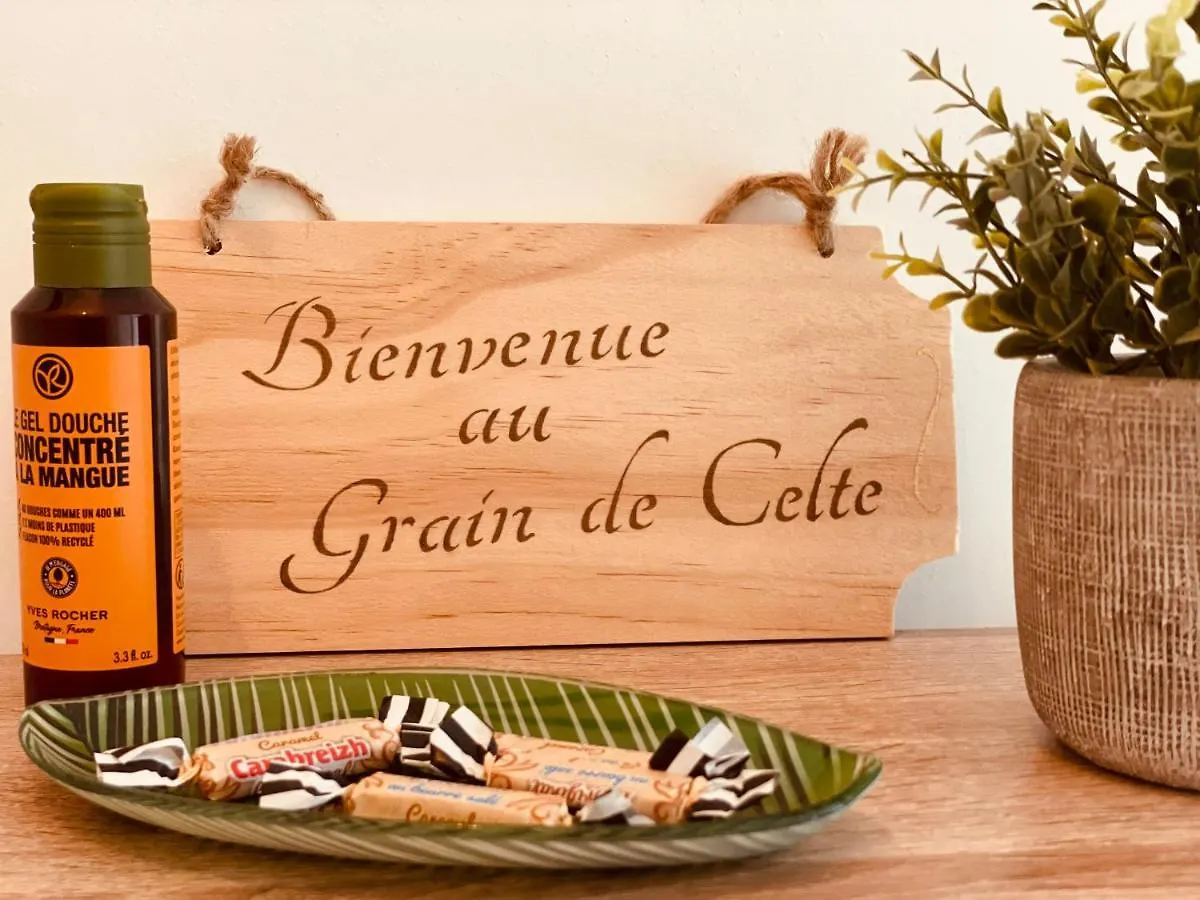 Le Grain De Celte, Plain-Pied Lumineux Avec Terrasse Et Jardin Apartment Chateaugiron