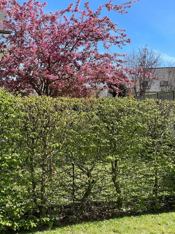 Le Grain De Celte, Plain-Pied Lumineux Avec Terrasse Et Jardin Apartment Chateaugiron France
